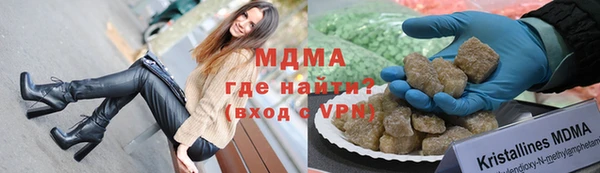 индика Богородицк