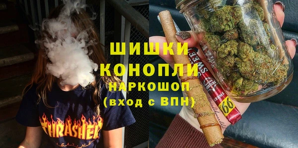ECSTASY Богданович