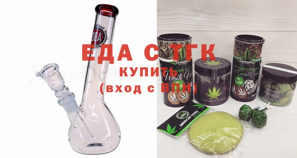 индика Богородицк