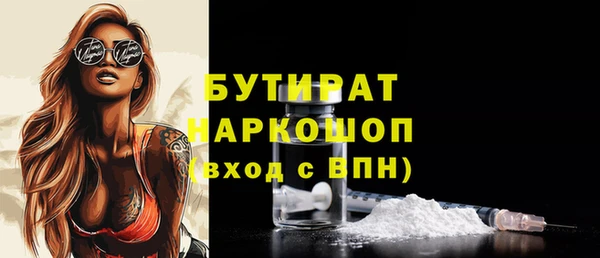 индика Богородицк