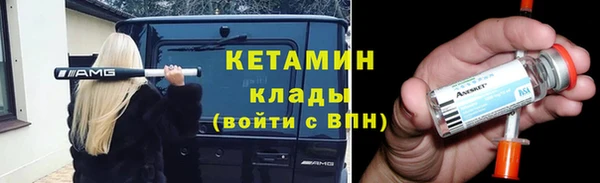 индика Богородицк