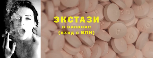 ECSTASY Богданович
