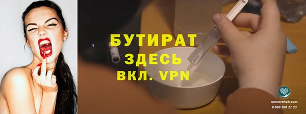 индика Богородицк