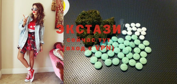 ECSTASY Богданович