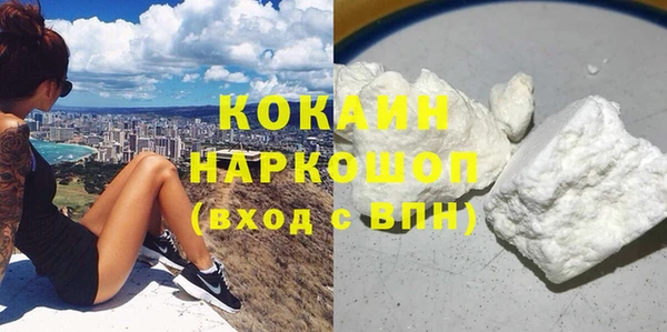 ECSTASY Богданович