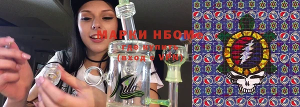 индика Богородицк