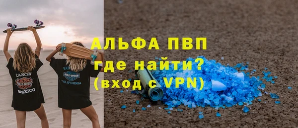 индика Богородицк