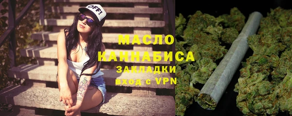 ECSTASY Богданович