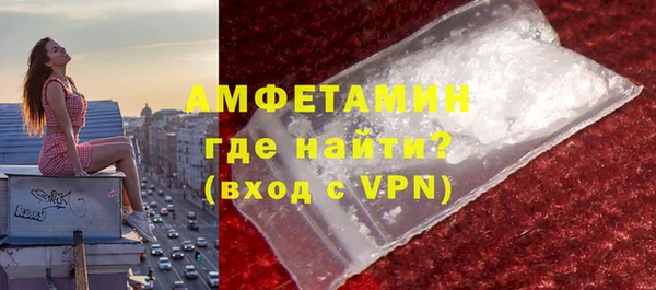 индика Богородицк