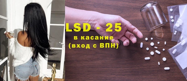 ECSTASY Богданович